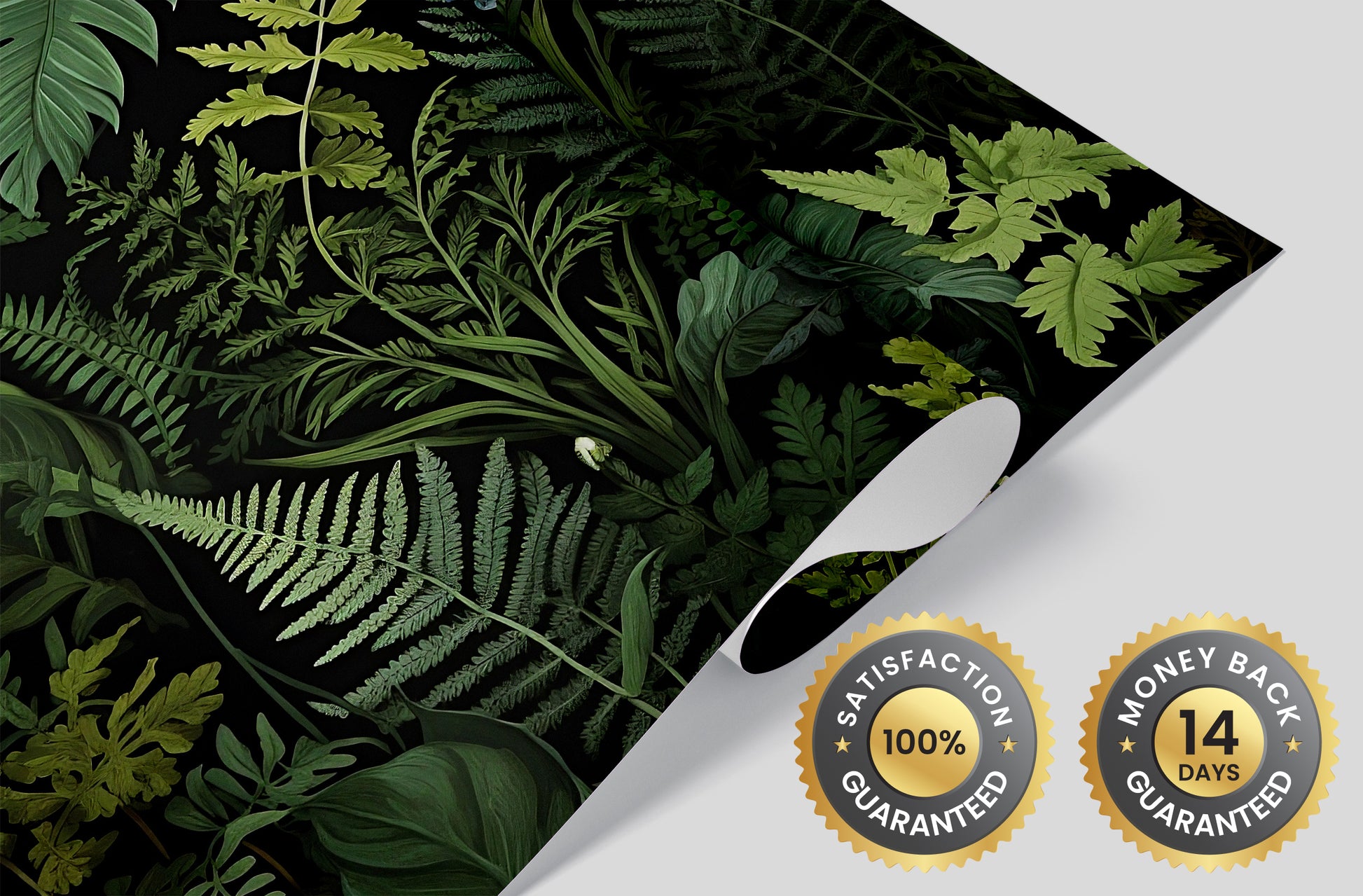 Eco-Friendly Fern Removable Wallpaper - Dark Botanic Theme